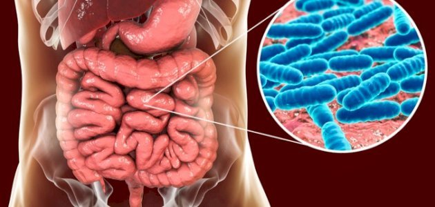 ميكروبيوم الأمعاء: كيف يؤثر على صحتنا؟