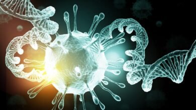 صورة عالمة أمريكية تعمل على تطوير لقاح شامل ضد “فيروسات كورونا”