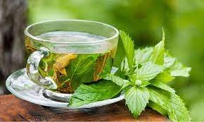 صورة دراسة: تناول الشاي الأخضر يقلل من دهون البطن