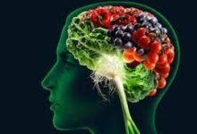 صورة يحد من الأطعمة المقلية واللحوم الحمراء والجبن والحلويات.. (مايند) النظام الغذائي الأمثل لدعم صحة الدماغ