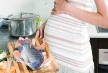 صورة عكس المتعارف عليه.. دراسة حديثة توصي المرأة الحامل بتناول الأسماك مرتين في الأسبوع
