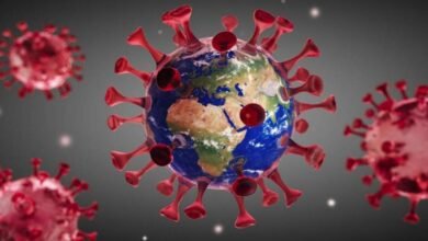 صورة دراسة كورية: متغير دلتا أكثر خطورة من حالات فيروس كورونا الأصلية