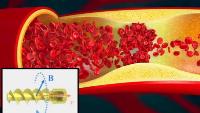 صورة روبوت يسبح عبر الأوعية الدموية للقضاء الجلطات الدموية