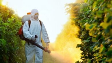 صورة دراسة فرنسية: التعرض الكثير للمبيدات يزيد خطر الإصابة بورم الدم النخاعي الحاد