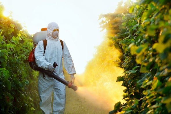 دراسة فرنسية: التعرض الكثير للمبيدات يزيد خطر الإصابة بورم الدم النخاعي الحاد