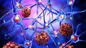 صورة دراسة بجامعة تكساس تؤكد أن الذاكرة المناعية أقل ديمومة بعد الإصابة بـ”كوفيد-19″ الحاد