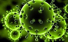 صورة دراسة مثيرة للجدل: فيروس كورونا مقدمة لـ 5 آلاف فيروس جديد !