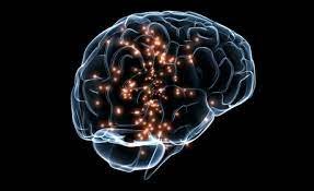 صورة “المخ” و”القلب”.. تناغم وتناسق وتكامل